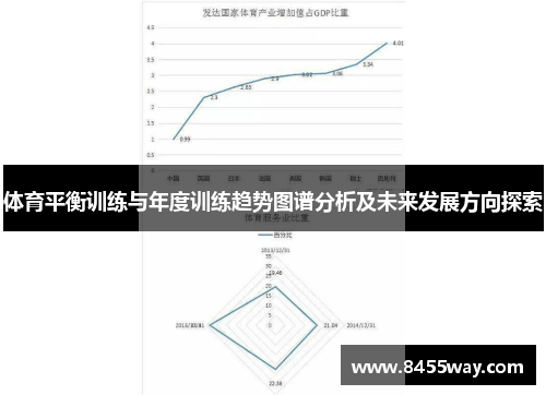体育平衡训练与年度训练趋势图谱分析及未来发展方向探索