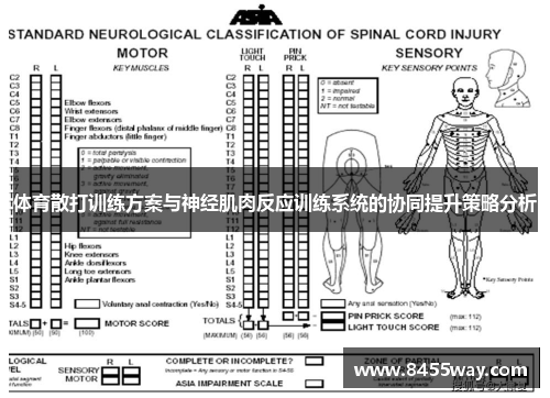 体育散打训练方案与神经肌肉反应训练系统的协同提升策略分析